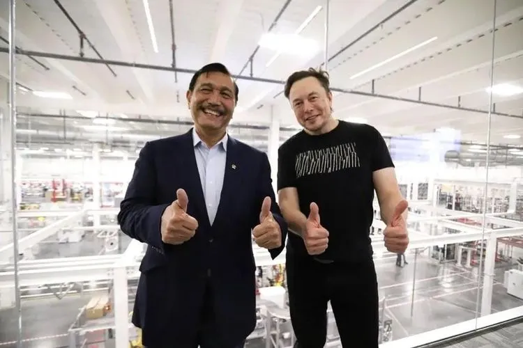 Luhut Tesla India Indonesia